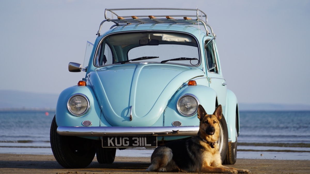 1972 Volkswagen Beetle Image 2